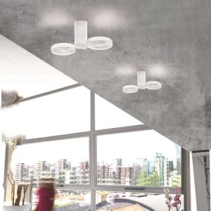 Minitallux Cidi PL2 LED-Deckenleuchte bei lampenonline.de