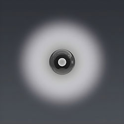 Occhio Luna scura Wandleuchten in vielen Größen und Varianten